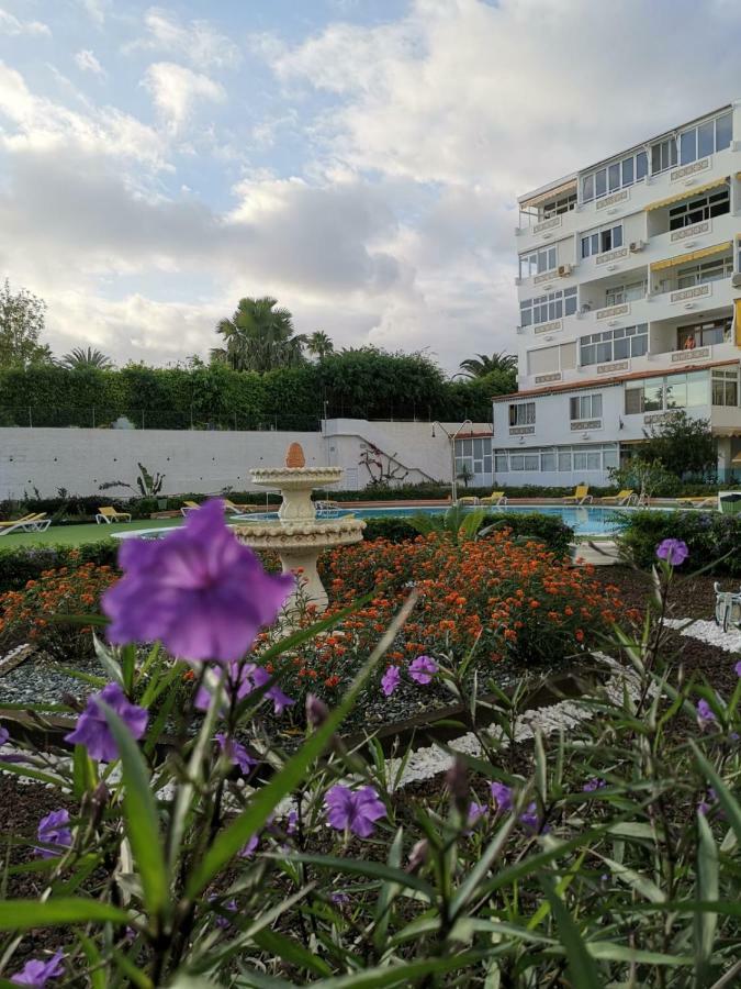 Apartamentos Taidia Πλάγια ντελ Ινγκλές Εξωτερικό φωτογραφία